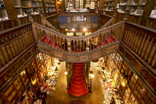 Interni della libreria