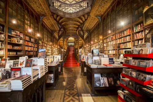 Interni della libreria